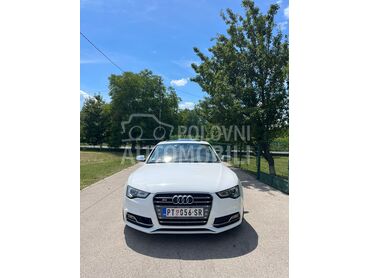 Audi S5 (može zamena), 15.200 €, Polovno, Šetonje