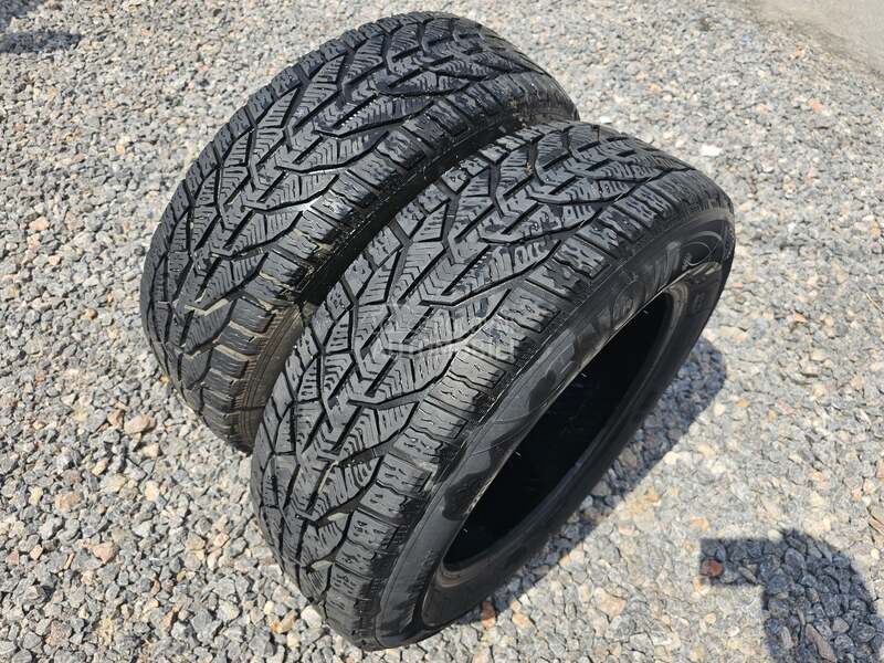 Riken 215/65 R17 Zimska