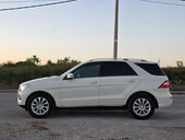 Mercedes Benz ML 250
