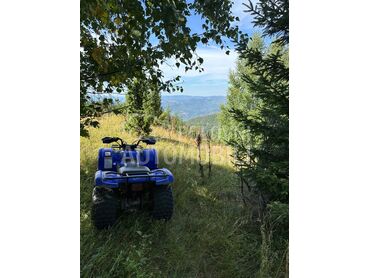 Yamaha Grizzly 125, 2.300 €, 2007. , 128 cm3, 12.345 km, 7kW (10 KS), ATV / Quad, Voždovac