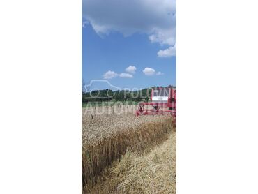 Massey Ferguson 206, Po dogovoru, 1977. , Standardni kombajn, Kruševac