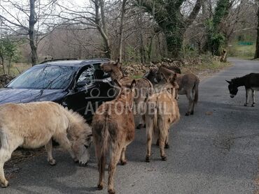Škoda Octavia, 4.700 €, 2008. Karavan, Dizel | 1896 cm3, 233.000 km, 77kW (105 KS), Automatski / poluautomatski, 4/5 vrata, 5 sedišta, Beograd