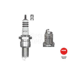 NGK 6597-NGK SVECICA IRIDIUM I