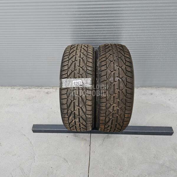 Riken 205/55 R16 Zimska