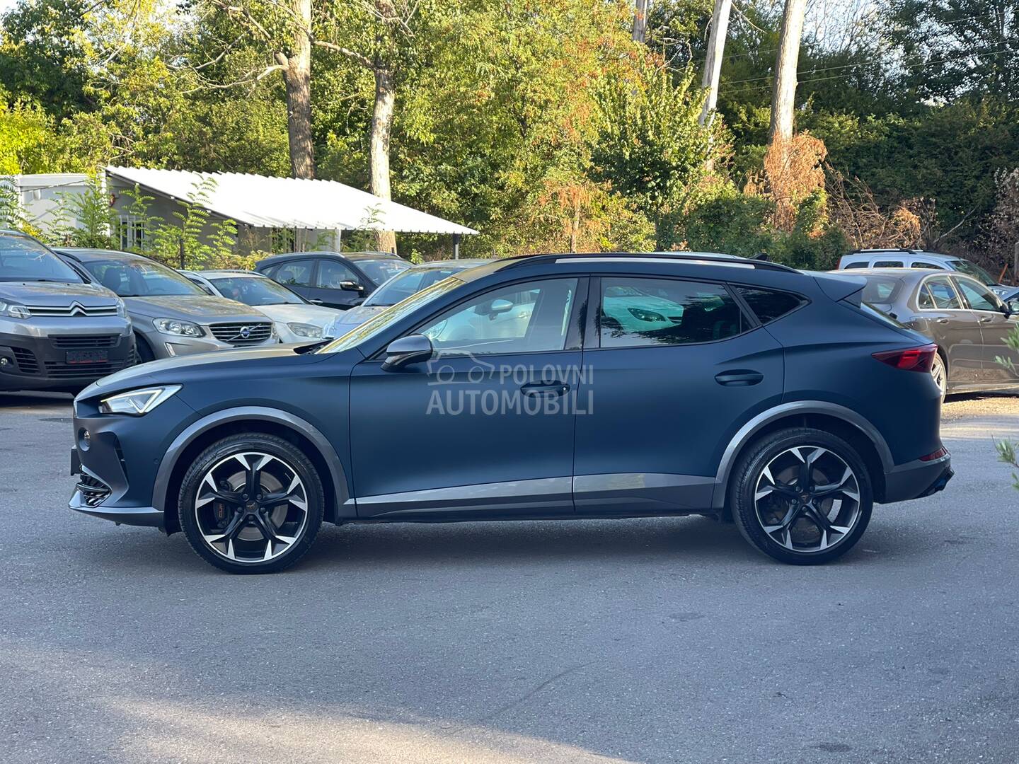 Cupra Formentor VZ310R (possible replacement)