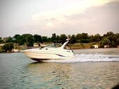 Chaparral 300 signature (može zamena)