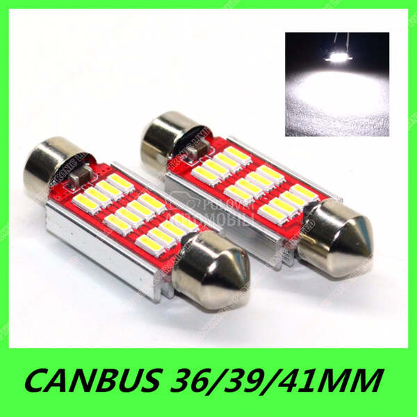 Led diode 39mm Canbus